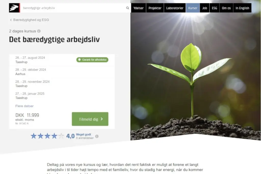 Det-baeredygtige-arbejdsliv-2-positiv-psykologi